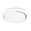 Светильник потолочный Escada Ophira (Опхира) 10227/S LED APP