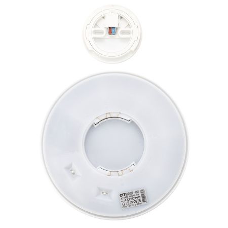 Светильник потолочный музыкальный Citilux Etalon (Еталон) CL750240