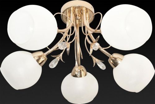 Люстра потолочная Toplight Gwen (Гвен) TL7460X-05FG - фото 2