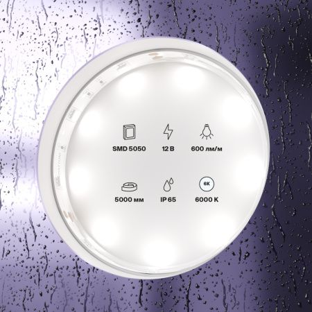 Светодиодная лента Maytoni Led Strip 10125