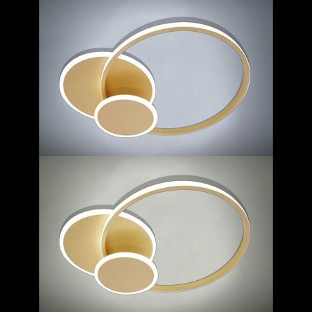 Люстра потолочная Natali Kovaltseva LED LAMPS (ЛЕД ЛАМПС) LED LAMPS 81306
