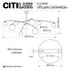 Люстра на штанге Citilux Fisher (Фисхер) CL218193