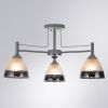 Люстра потолочная Arte Lamp Fiamma (Фиамма) A3521PL-3CC