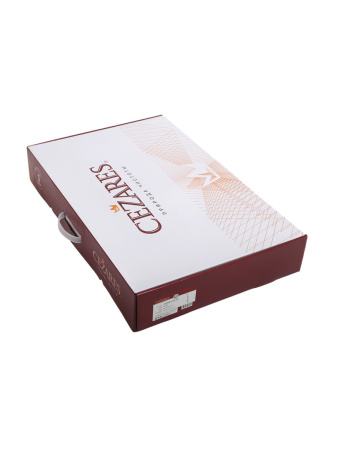 Душевая стойка Cezares SLIDER SLIDER-CVD-GM настенная цвет оружейная сталь