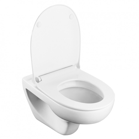 Чаша унитаза подвесная Roca Victoria 734630300R цвет белый без сиденья смыв торнадо