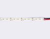 Светодиодная лента Ambrella Light LED Strip 12V (ЛЕД Стрип 12В) GS1303
