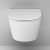 Унитаз подвесной Am.Pm Func C8F1701SC белый с сиденьем микролифт безободковый каскадный смыв