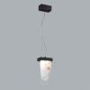 Светильник подвесной Odeon Light Foros (Форос) 5438/12L