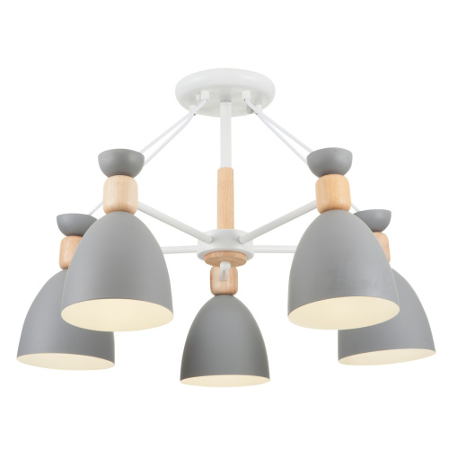 Люстра на штанге Freya Delia (Делия) FR5033CL-05W - фото 3