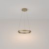 Светильник подвесной Maytoni Rim Modern MOD058PL-L22BS3K