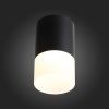 Светильник накладной ST Luce OTTU (ОТТУ) ST100.402.05