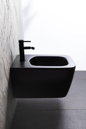 Биде подвесное Allen Brau Liberty 4.33010.31 цвет черный