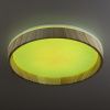 Светильник потолочный музыкальный Citilux Enzo (Ензо) CL753352G