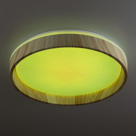 Светильник потолочный музыкальный Citilux Enzo (Ензо) CL753352G