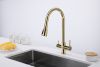 Смеситель для кухни Paulmark LANGE La214212-G на мойку золото