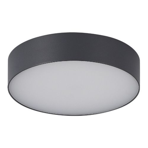 Уличный потолочный светильник ST Luce Sun (Сун) SL9518.702.01 - фото 2