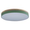 Светильник потолочный Loft It Axel 10001/36 Green