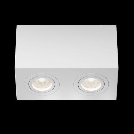 Светильник потолочный Maytoni Technical Atom (Атом) C017CL-02W
