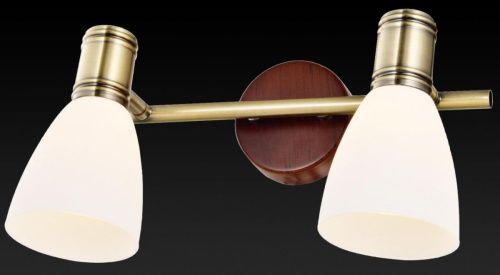 Спот Toplight Sharyl (Схарыл) TL3720Y-02BB - фото 2