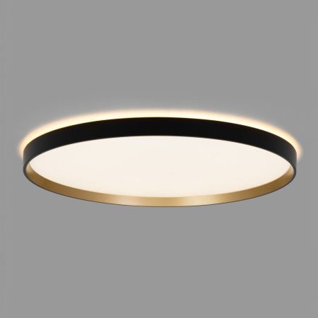 Светильник потолочный музыкальный Citilux Etalon (Еталон) CL750501R