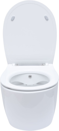 Чаша унитаза подвесная Allen Brau Fantasy 4.11HC1.20 цвет белый без сиденья безободковая каскадный смыв