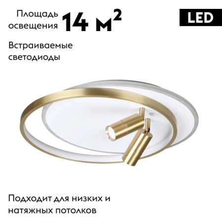 Люстра потолочная Lumion Naoko (Наоко) 5603/63CL