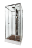 Душевая кабина AvaCan Z111STEAM 100х100 квадратная с крышей ориентация универсальная