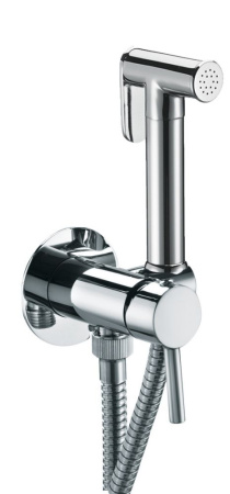 Гигиенический душ со смесителем Fiore Shower 30AA8590 цвет сталь