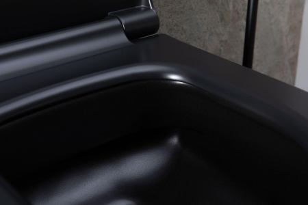 Чаша унитаза подвесная Allen Brau Priority 4.31002.31 цвет черный матовый без сиденья безободковая каскадный смыв