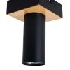 Светильник потолочный Favourite Olson (Олсон) 4431-1C