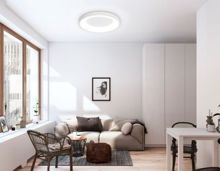 Светильник потолочный Ambrella Light Design (Десигн) FZ1401
