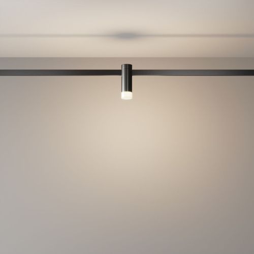 Светильник трековый Maytoni Technical Skim TR145-1-3W3K-W-B - фото 4