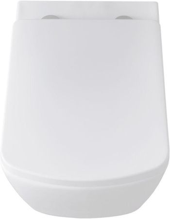 Чаша унитаза подвесная Allen Brau Liberty 4.33004.20 цвет белый без сиденья безободковая каскадный смыв