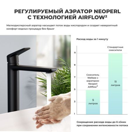 Смеситель для раковины Wellsee ICON! for life 182307000 на столешницу черный