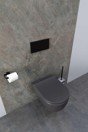 Чаша унитаза подвесная Allen Brau Priority 4.31001.AN цвет черный без сиденья безободковая каскадный смыв