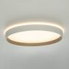 Светильник накладной Citilux Etalon (Еталон) CL750320R
