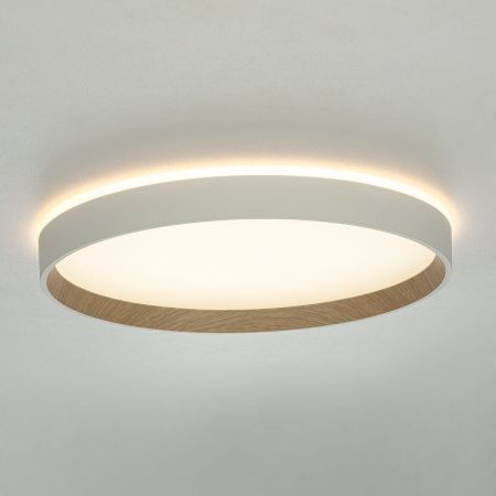 Светильник накладной Citilux Etalon (Еталон) CL750320R
