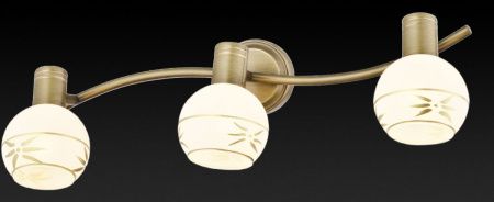 Спот Toplight Sharleen (Схарлеен) TL3790Y-03AB