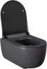 Чаша унитаза подвесная Allen Brau Priority 4.31002.AN цвет черный без сиденья безободковая каскадный смыв