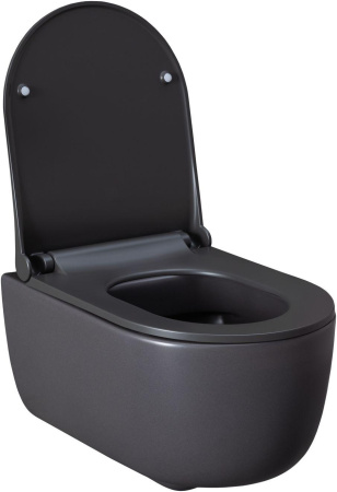 Чаша унитаза подвесная Allen Brau Priority 4.31002.AN цвет черный без сиденья безободковая каскадный смыв