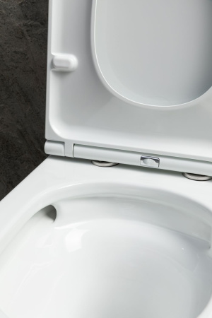 Чаша унитаза подвесная Allen Brau Priority Tornado 4.31006.20 цвет белый без сиденья безободковая душевой смыв