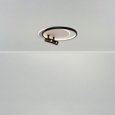 Светильник потолочный Freya Spotlights (Прожекторы) FR6083CL-L106WB