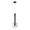 Светильник подвесной Delight Collection OD2553-1B black/clear