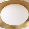 Светильник подвесной ImperiumLoft 212811-26
