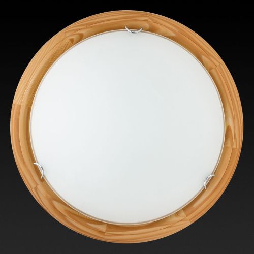 Светильник настенный Toplight Hillary (Хиллары) TL9023Y-02PN - фото 3