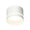 Светильник накладной Citilux Hardy (Харды) CL002C10