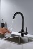 Смеситель для кухни Shevanik S128H на мойку черный