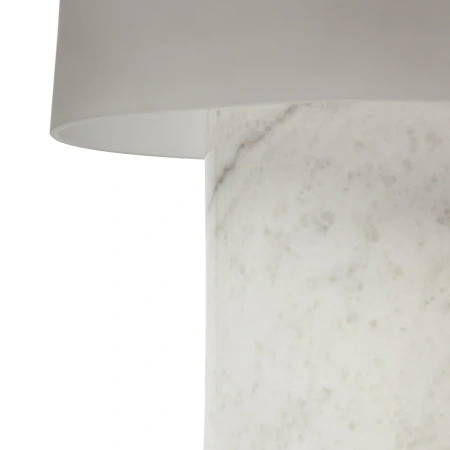 Настольная лампа Cosmo Birch CT0014