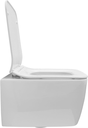 Чаша унитаза подвесная Allen Brau Liberty 4.33007.20 цвет белый без сиденья безободковая каскадный смыв