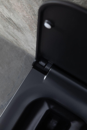 Чаша унитаза подвесная Allen Brau Infinity 4.21011.31 цвет черный матовый без сиденья безободковая каскадный смыв